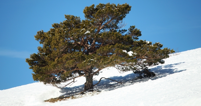 Mont Ventoux hiver 2